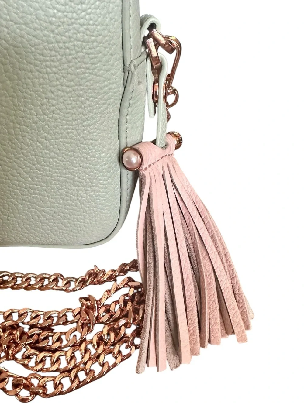 Ted Baker Mint Green Leather Camera Crossbody Rose Gold Tassel Bag